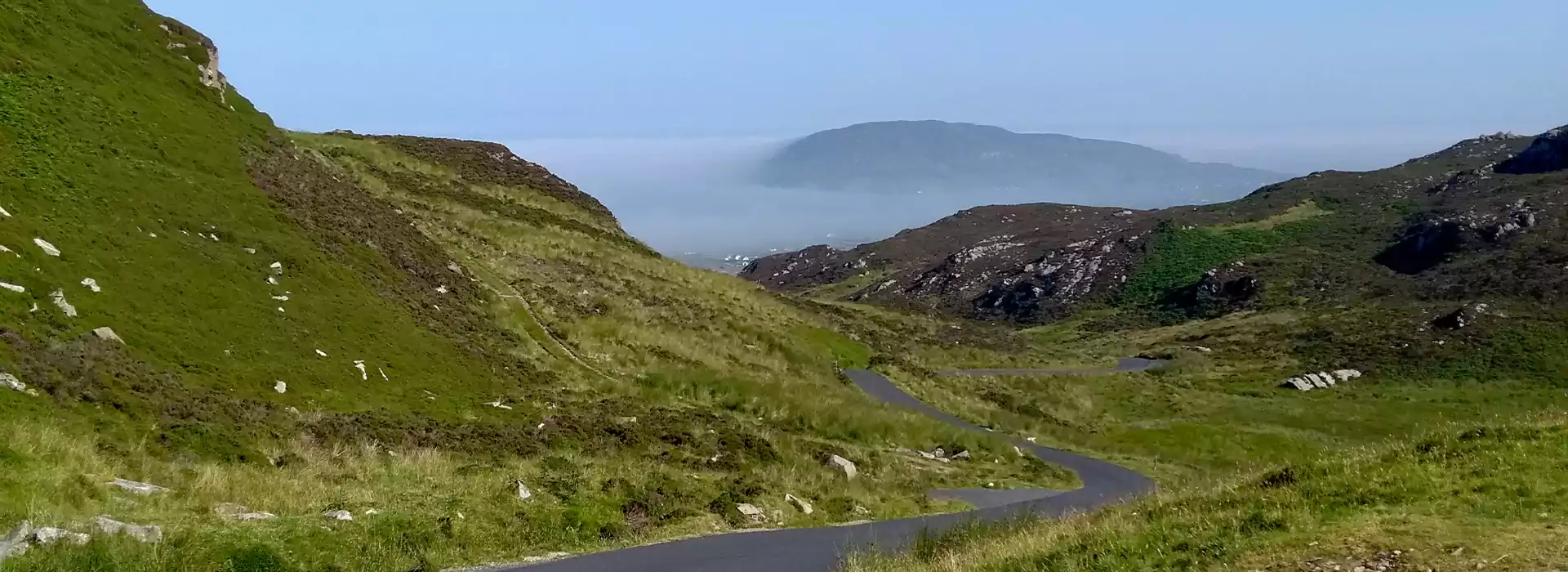 A living landscape