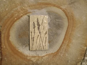 Community Art at Fort Dunree