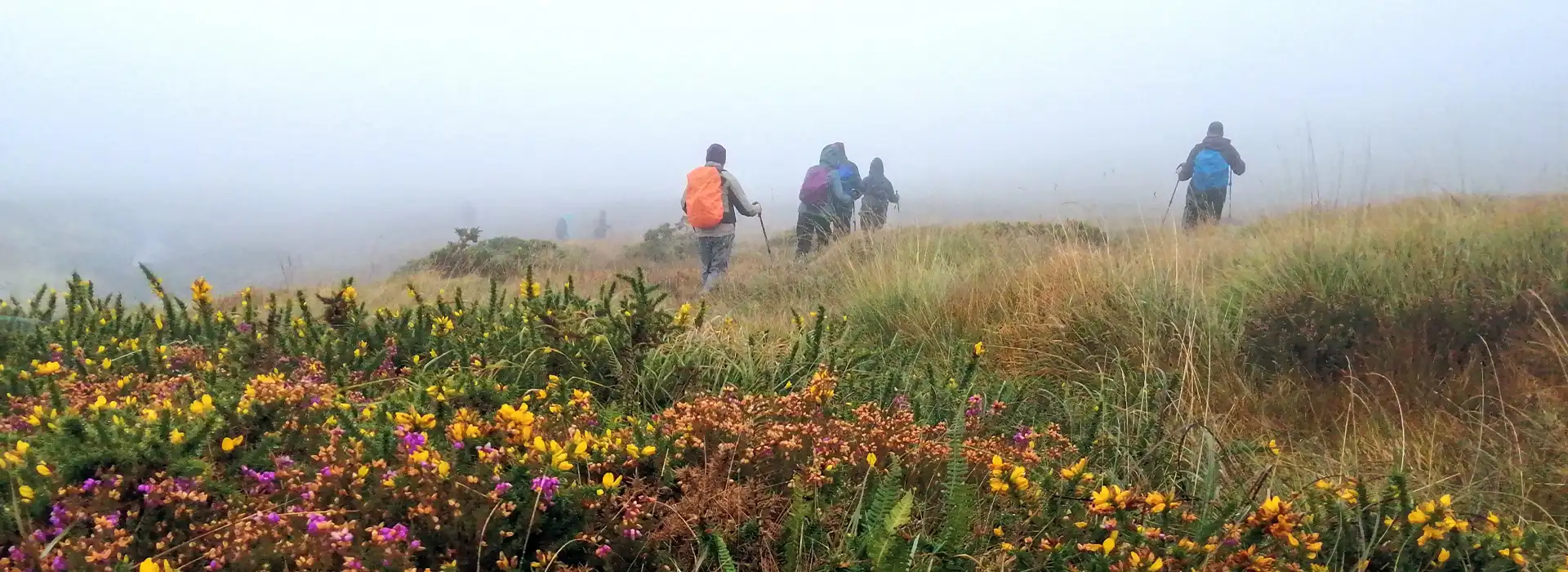 Walking & Hiking in Donegal